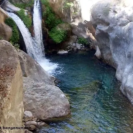 Kleopatra Ilgar * Alanya